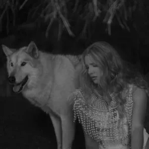 Chemtrails over the country club